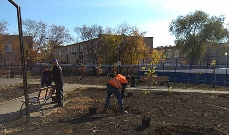 Осталось высадить большую ель